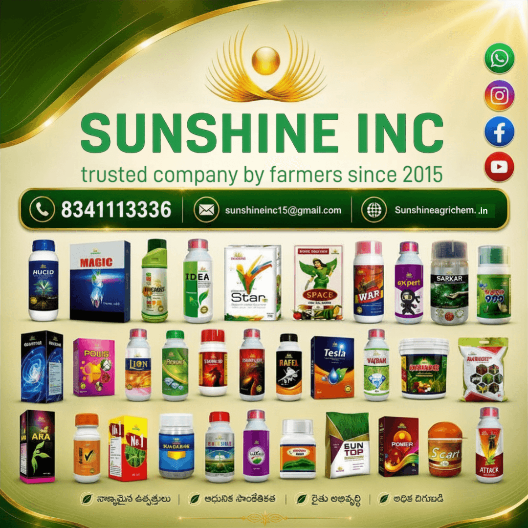 Brochure page 1
