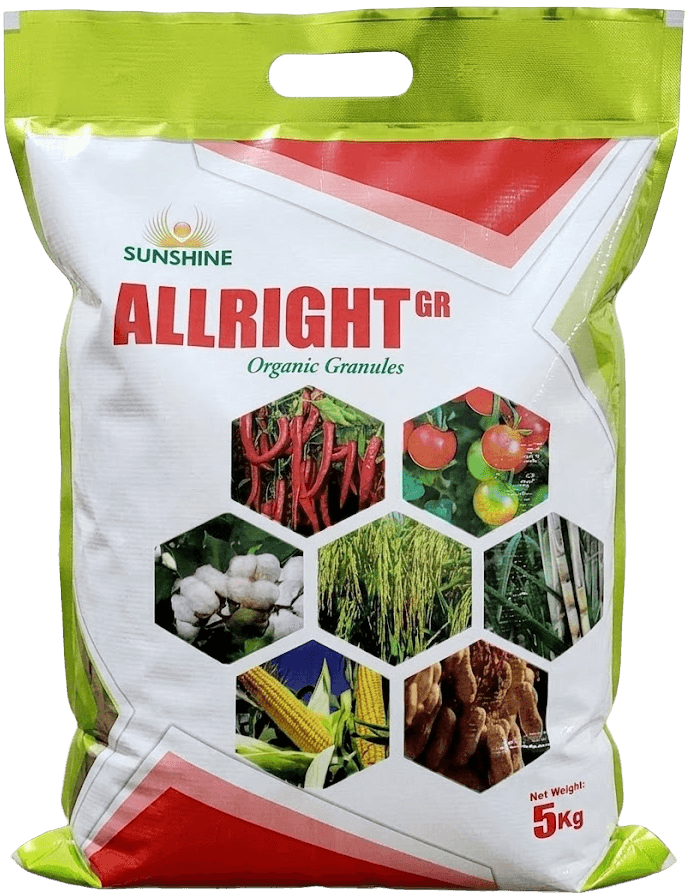 ALLRIGHT GR