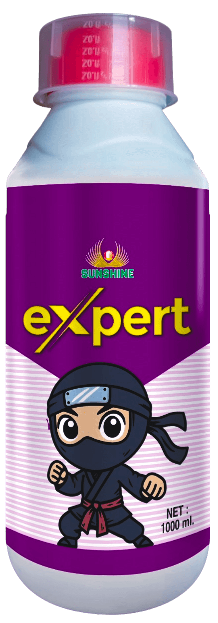 EXPERT