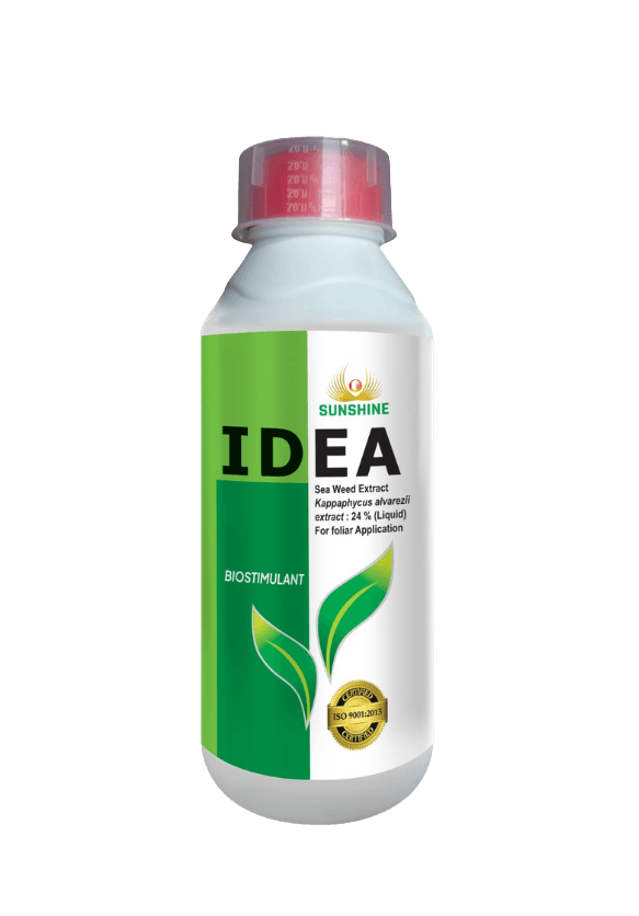 IDEA