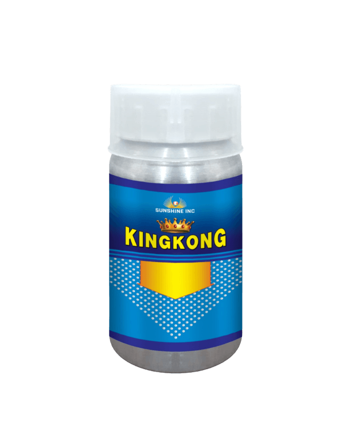 KINGKONG