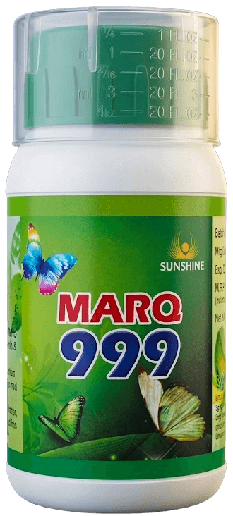 MARQ999