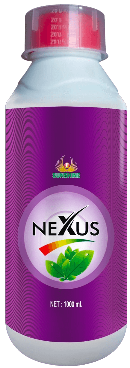 NEXUS