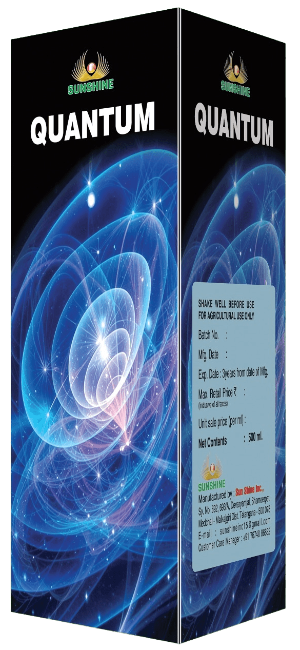 QUANTUM