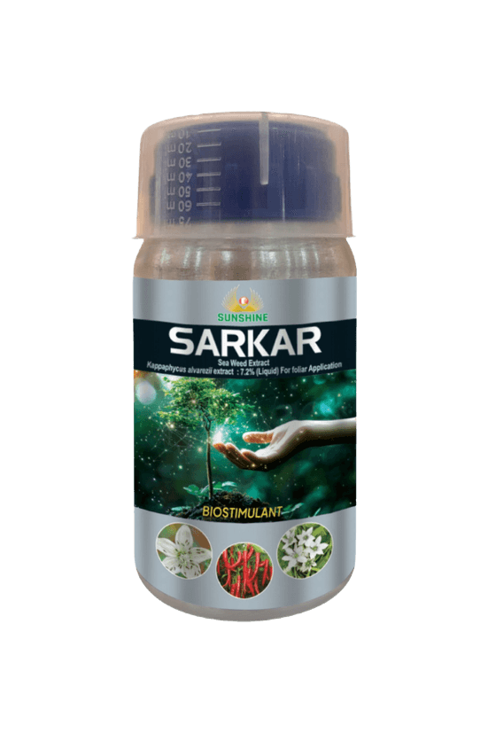 SARKAR