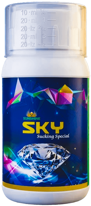 SKY